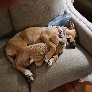 Meet your Posher, Sue